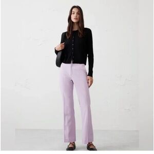 Banana Republic Logan Lined Lilac Trouser